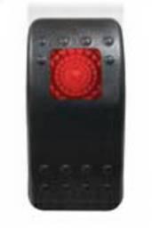SL13118