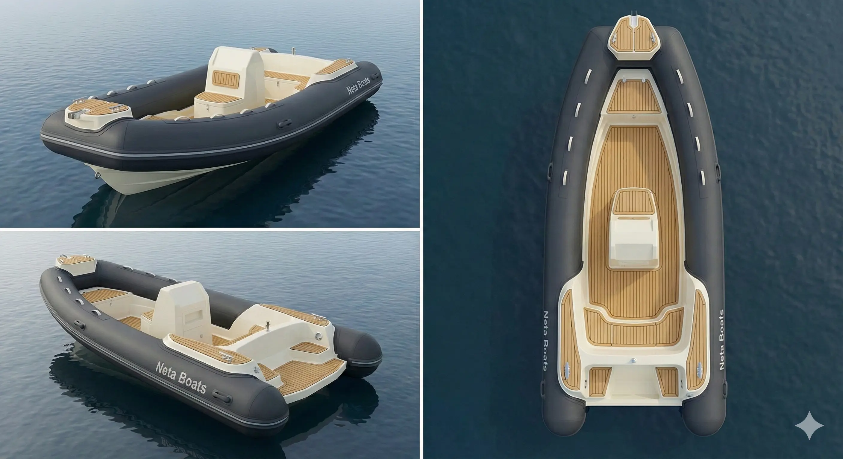 Profesyonel RIB Tekneleri