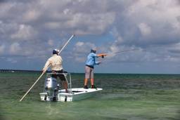 Honda BF 30 DK2 LHGU Dıştan Takma Motor